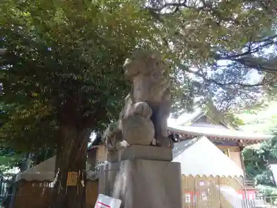 太子堂八幡神社の狛犬