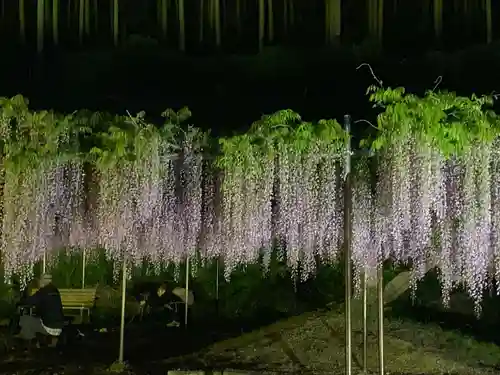 天台宗 五大山 白毫寺(兵庫県)