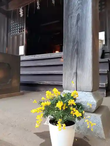 伏木香取神社の自然