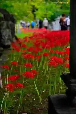 横浜　西方寺(神奈川県)