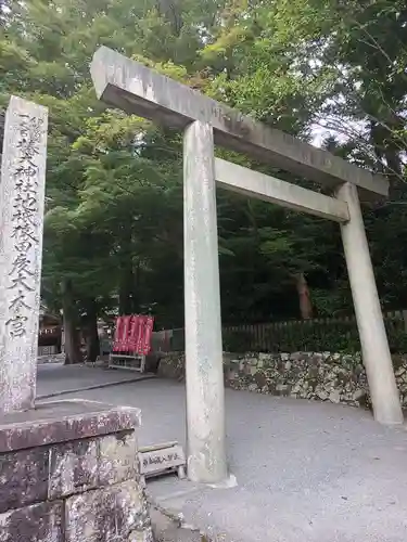 椿大神社の鳥居