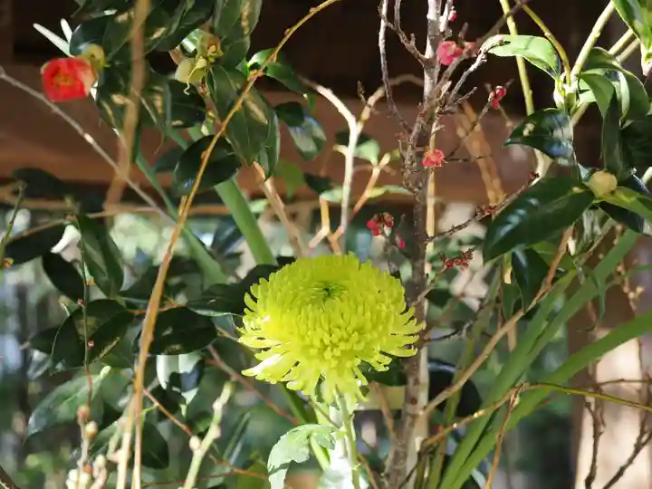 赤坂氷川神社(東京都)