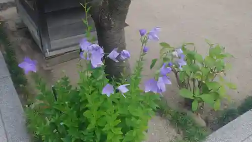 櫛田神社(福岡県)