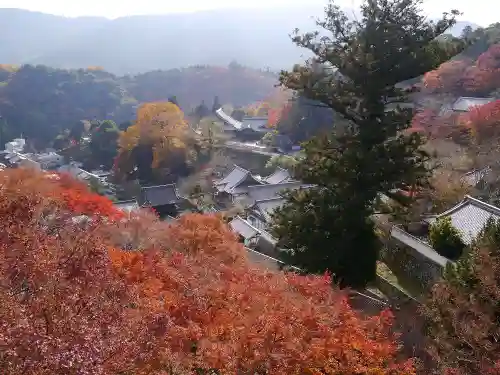 長谷寺の景色