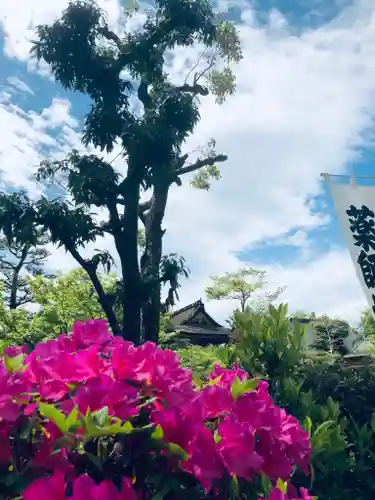 宝寿院の庭園