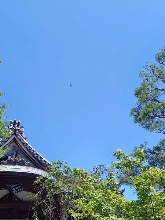 火産霊神社(新潟県)