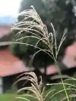 木舟山 順教寺の自然