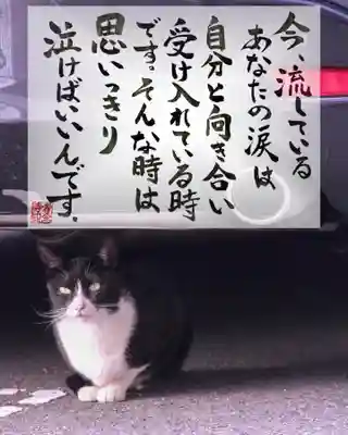 専念寺(大阪府)