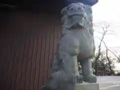 金井八幡神社の狛犬