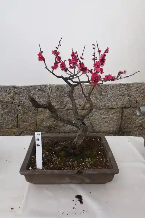 菅原天満宮(菅原神社)の自然