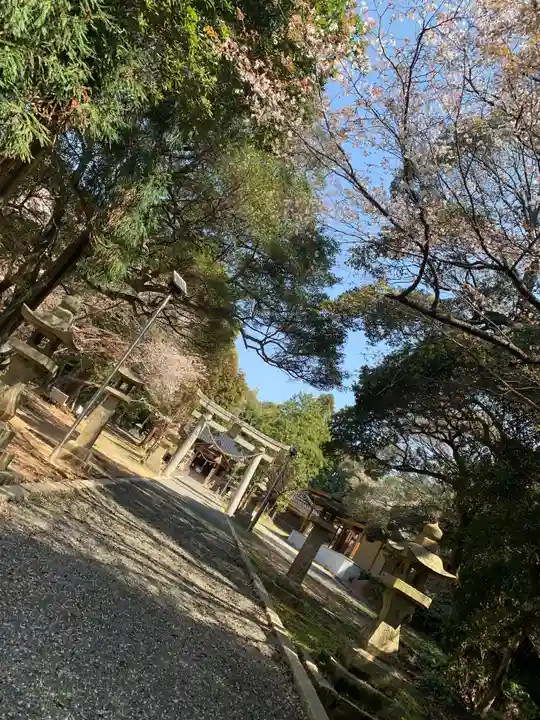 日吉神社(山口県)