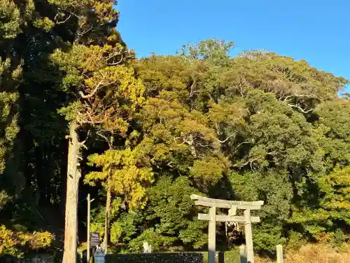 大宮神社(静岡県)