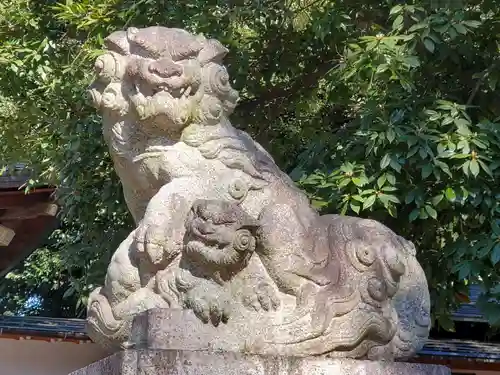 八雲氷川神社の狛犬