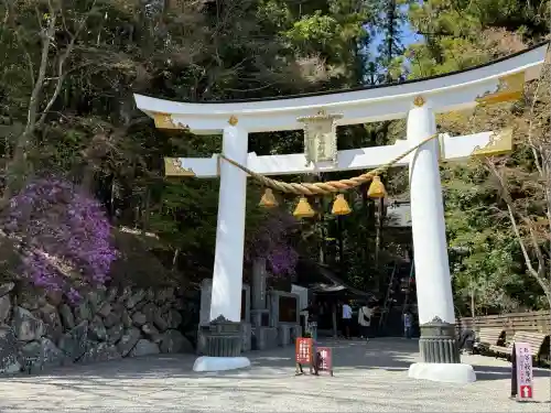 宝登山神社(埼玉県)