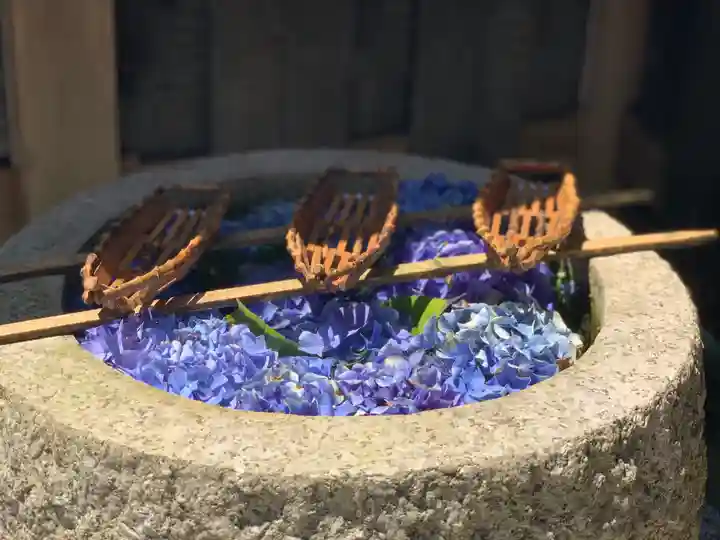 正寿院の手水舎