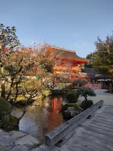 賀茂別雷神社（上賀茂神社）の庭園