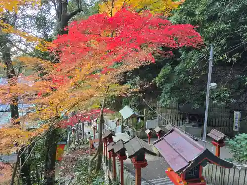 大本山七宝瀧寺(大阪府)