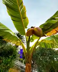 飯盛神社(長崎県)