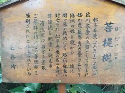 大宮八幡宮の歴史