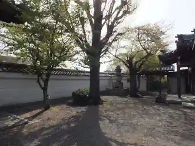 大徳寺(滋賀県)