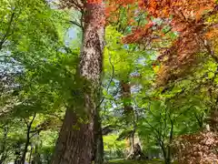 滑川神社 - 仕事と子どもの守り神の周辺