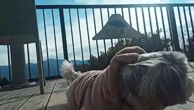 身延山奥之院思親閣(山梨県)