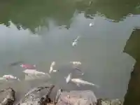 永保寺(岐阜県)