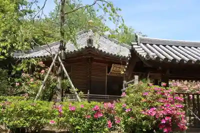 長谷寺(奈良県)