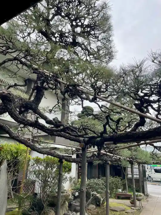 妙情寺の{uncategorized: "未分類", other: "その他", undefined: "問題あり", building: "その他建物", grave: "お墓", sacred_gate: "鳥居", guardian: "狛犬", statue: "像", buddha: "仏像", history: "歴史", nature: "自然", garden: "庭園", animal: "動物", pagoda: "塔", temizu: "手水舎", mountain_gate: "山門・神門", sanctuary: "本殿・本堂", subordinate: "末社・摂社", art: "芸術", scenery: "景色", jizo: "地蔵", ema: "絵馬", goshuin: "御朱印", omikuji: "おみくじ", items: "授与品その他", amulet: "お守り", goshuincho: "御朱印帳", eats: "食事", festival: "お祭り", votive_dance: "神楽", shichigosan: "七五三参", wedding: "結婚式", experience: "体験その他", initially: "初詣", around: "周辺", anti_infection: "感染症対策"}