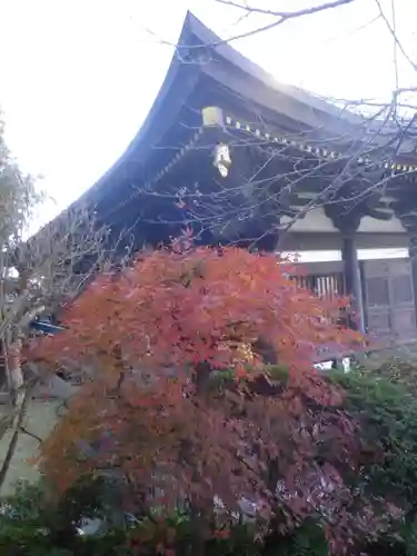 長勝寺の景色