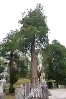 廣籏八幡宮(山口県)