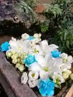 本郷氷川神社(東京都)