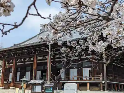 くろ谷 金戒光明寺(京都府)