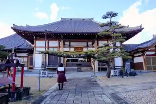 三河三弘法第二番　西福寺の{uncategorized: "未分類", other: "その他", undefined: "問題あり", building: "その他建物", grave: "お墓", sacred_gate: "鳥居", guardian: "狛犬", statue: "像", buddha: "仏像", history: "歴史", nature: "自然", garden: "庭園", animal: "動物", pagoda: "塔", temizu: "手水舎", mountain_gate: "山門・神門", sanctuary: "本殿・本堂", subordinate: "末社・摂社", art: "芸術", scenery: "景色", jizo: "地蔵", ema: "絵馬", goshuin: "御朱印", omikuji: "おみくじ", items: "授与品その他", amulet: "お守り", goshuincho: "御朱印帳", eats: "食事", festival: "お祭り", votive_dance: "神楽", shichigosan: "七五三参", wedding: "結婚式", experience: "体験その他", initially: "初詣", around: "周辺", anti_infection: "感染症対策"}