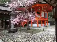 出雲大神宮の本殿・本堂
