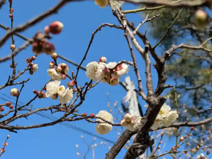 法輪寺(東京都)