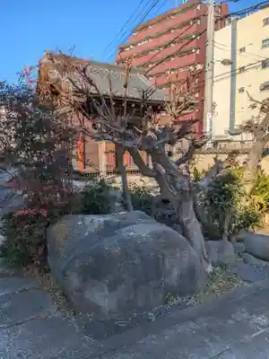 大雄山最乗寺東京別院(東京都)