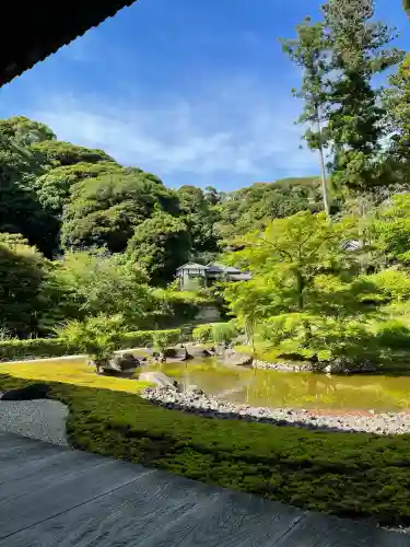 円覚寺の{uncategorized: "未分類", other: "その他", undefined: "問題あり", building: "その他建物", grave: "お墓", sacred_gate: "鳥居", guardian: "狛犬", statue: "像", buddha: "仏像", history: "歴史", nature: "自然", garden: "庭園", animal: "動物", pagoda: "塔", temizu: "手水舎", mountain_gate: "山門・神門", sanctuary: "本殿・本堂", subordinate: "末社・摂社", art: "芸術", scenery: "景色", jizo: "地蔵", ema: "絵馬", goshuin: "御朱印", omikuji: "おみくじ", items: "授与品その他", amulet: "お守り", goshuincho: "御朱印帳", eats: "食事", festival: "お祭り", votive_dance: "神楽", shichigosan: "七五三参", wedding: "結婚式", experience: "体験その他", initially: "初詣", around: "周辺", anti_infection: "感染症対策"}