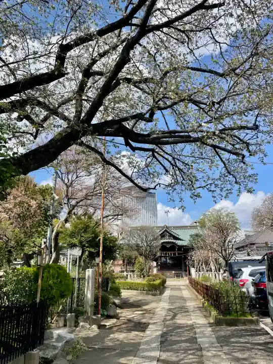 白山神社の{uncategorized: "未分類", other: "その他", undefined: "問題あり", building: "その他建物", grave: "お墓", sacred_gate: "鳥居", guardian: "狛犬", statue: "像", buddha: "仏像", history: "歴史", nature: "自然", garden: "庭園", animal: "動物", pagoda: "塔", temizu: "手水舎", mountain_gate: "山門・神門", sanctuary: "本殿・本堂", subordinate: "末社・摂社", art: "芸術", scenery: "景色", jizo: "地蔵", ema: "絵馬", goshuin: "御朱印", omikuji: "おみくじ", items: "授与品その他", amulet: "お守り", goshuincho: "御朱印帳", eats: "食事", festival: "お祭り", votive_dance: "神楽", shichigosan: "七五三参", wedding: "結婚式", experience: "体験その他", initially: "初詣", around: "周辺", anti_infection: "感染症対策"}