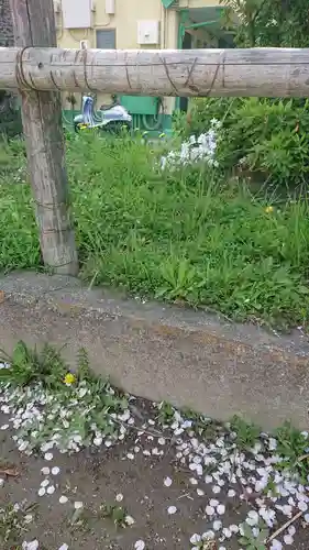 尾張大國霊神社（国府宮）の自然