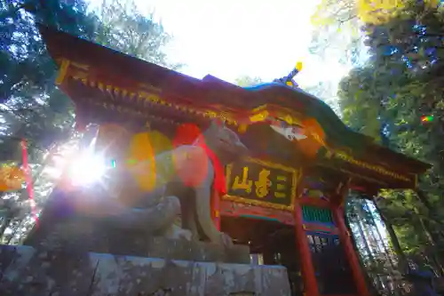 三峯神社(埼玉県)