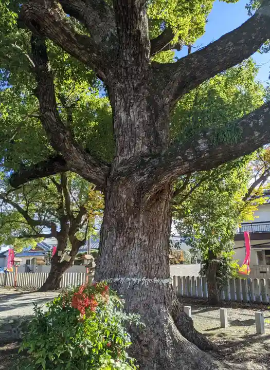 金岡神社(大阪府)