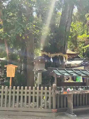 大神神社(奈良県)