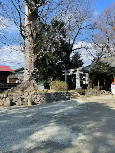 御嶽神社の{uncategorized: "未分類", other: "その他", undefined: "問題あり", building: "その他建物", grave: "お墓", sacred_gate: "鳥居", guardian: "狛犬", statue: "像", buddha: "仏像", history: "歴史", nature: "自然", garden: "庭園", animal: "動物", pagoda: "塔", temizu: "手水舎", mountain_gate: "山門・神門", sanctuary: "本殿・本堂", subordinate: "末社・摂社", art: "芸術", scenery: "景色", jizo: "地蔵", ema: "絵馬", goshuin: "御朱印", omikuji: "おみくじ", items: "授与品その他", amulet: "お守り", goshuincho: "御朱印帳", eats: "食事", festival: "お祭り", votive_dance: "神楽", shichigosan: "七五三参", wedding: "結婚式", experience: "体験その他", initially: "初詣", around: "周辺", anti_infection: "感染症対策"}