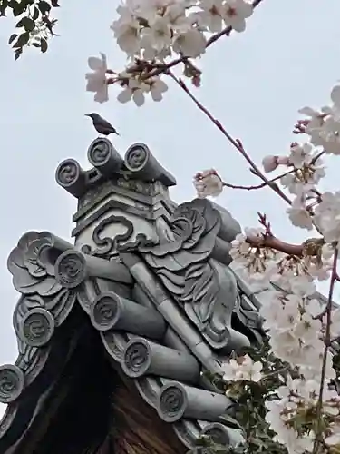 實相寺（実相寺） (京都府)