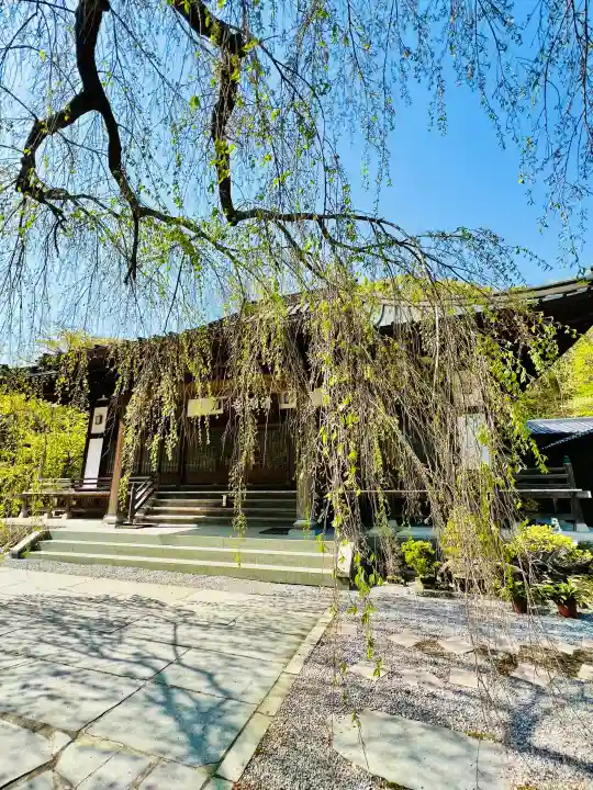 清源寺の{uncategorized: "未分類", other: "その他", undefined: "問題あり", building: "その他建物", grave: "お墓", sacred_gate: "鳥居", guardian: "狛犬", statue: "像", buddha: "仏像", history: "歴史", nature: "自然", garden: "庭園", animal: "動物", pagoda: "塔", temizu: "手水舎", mountain_gate: "山門・神門", sanctuary: "本殿・本堂", subordinate: "末社・摂社", art: "芸術", scenery: "景色", jizo: "地蔵", ema: "絵馬", goshuin: "御朱印", omikuji: "おみくじ", items: "授与品その他", amulet: "お守り", goshuincho: "御朱印帳", eats: "食事", festival: "お祭り", votive_dance: "神楽", shichigosan: "七五三参", wedding: "結婚式", experience: "体験その他", initially: "初詣", around: "周辺", anti_infection: "感染症対策"}