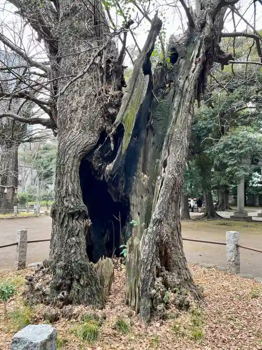 赤坂氷川神社(東京都)