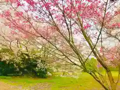 女化神社(茨城県)