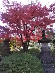 室泉寺の自然