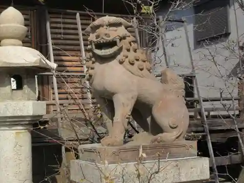柿本神社の狛犬